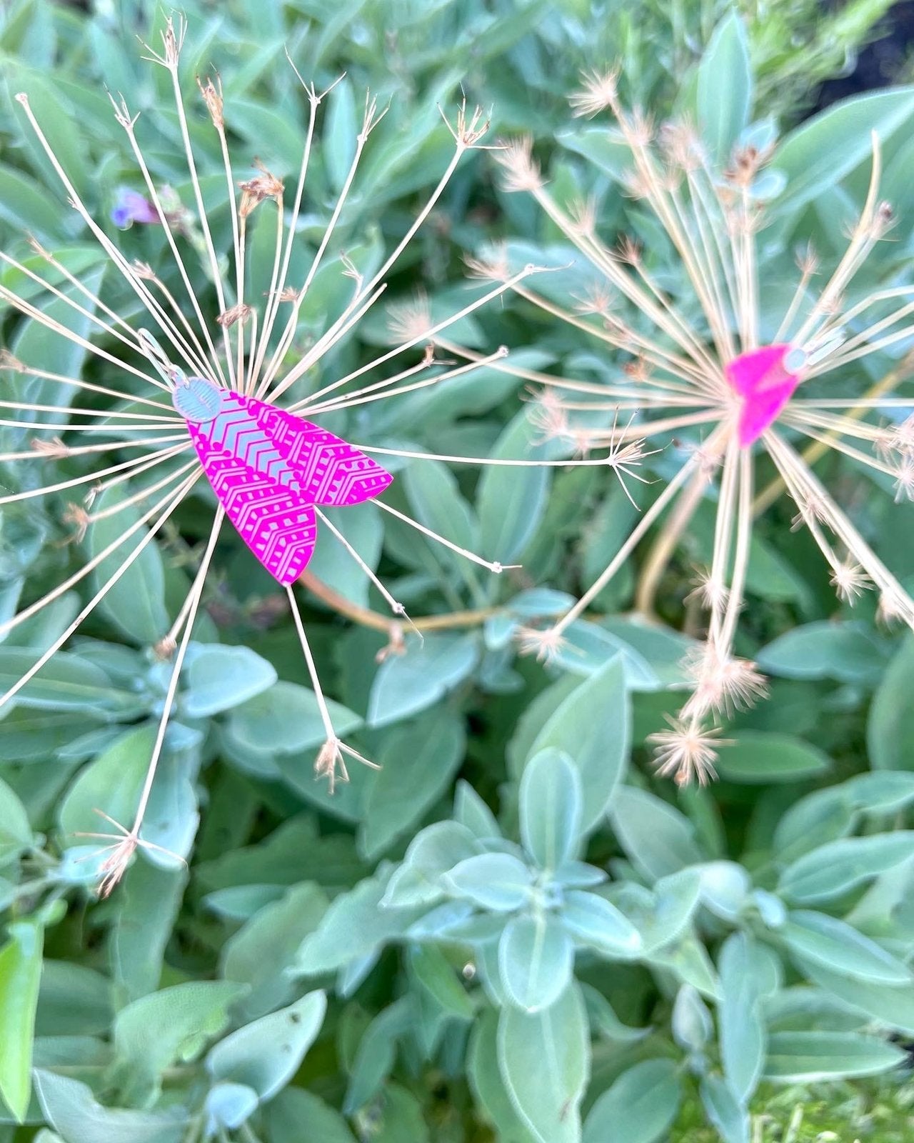 Moth Earrings – Etched Stainless Steel and Brass, Hot Pink